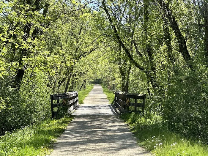 Badger Prairie Mountain Bike Trail Head 5