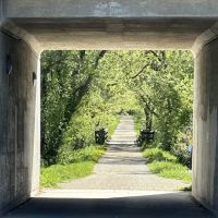 Badger Prairie Mountain Bike Trail Head ico