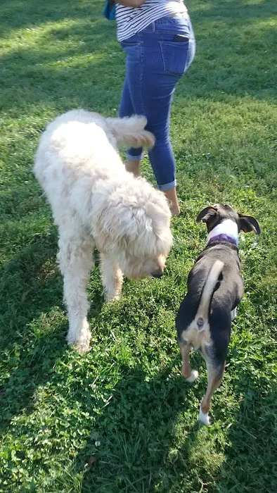 Walnut Grove Park Dog Park 3