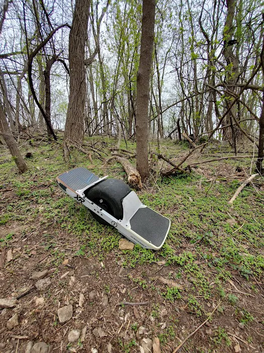 Walnut Grove Park Dog Park 10