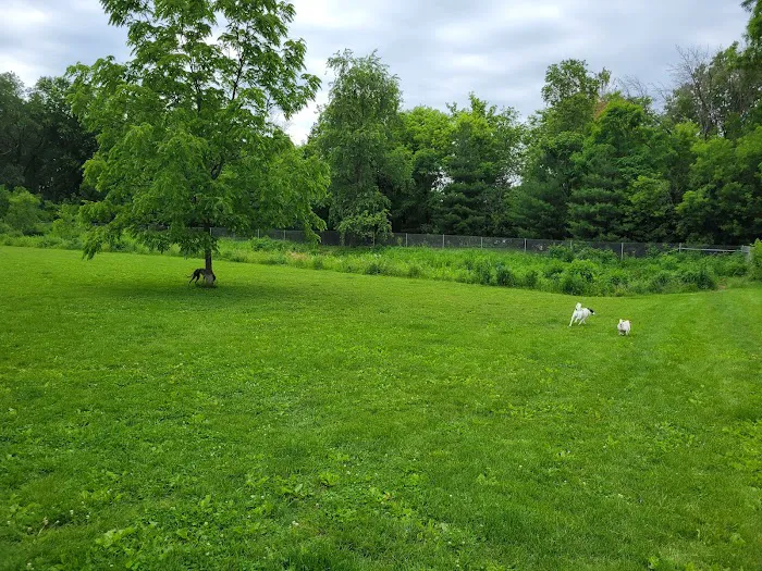 Walnut Grove Park Dog Park 5