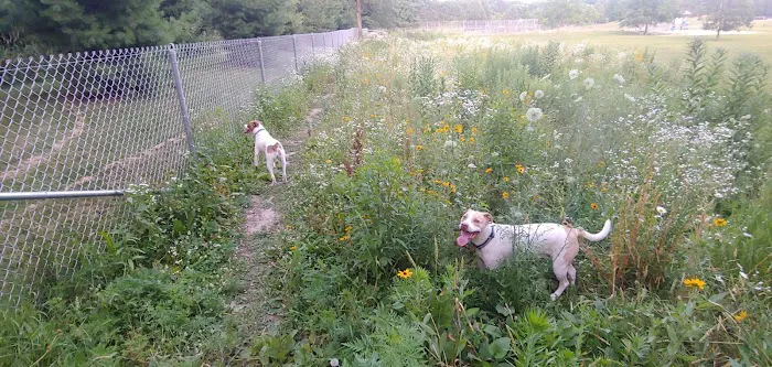 Walnut Grove Park Dog Park 6