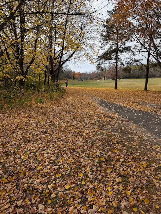 Walnut Grove Park Dog Park 9