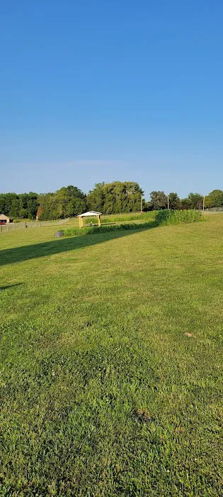 Dairy Ridge Dog Run 2
