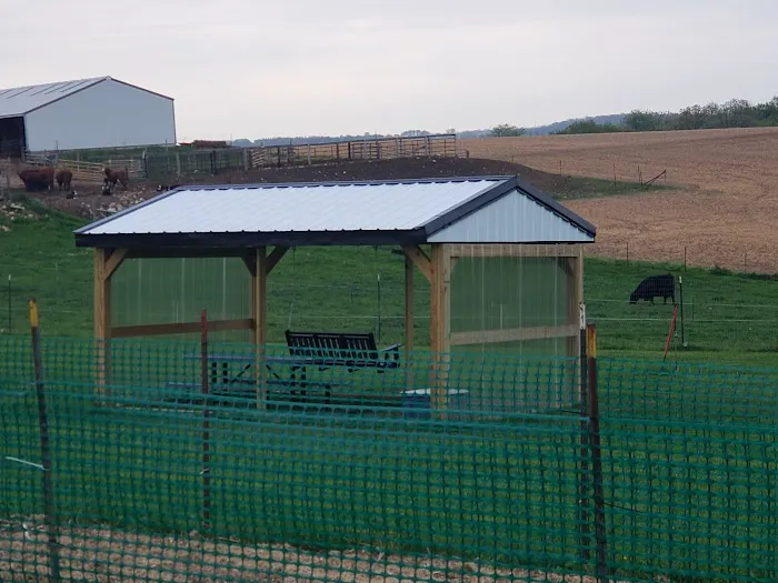 Dairy Ridge Dog Run 6
