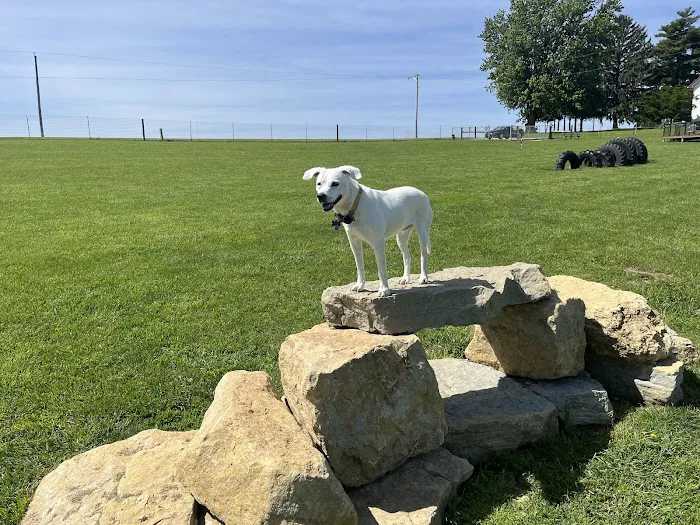 Dairy Ridge Dog Run 5