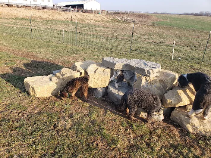 Dairy Ridge Dog Run 4