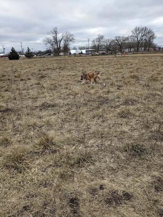 Yahara Heights Dog Park 3