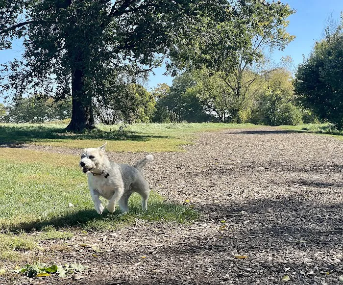 Yahara Heights Dog Park 8