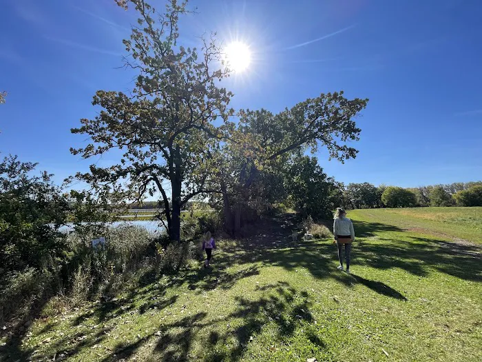 Yahara Heights Dog Park 6