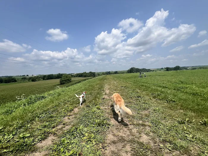 Middleton Dog Park 2