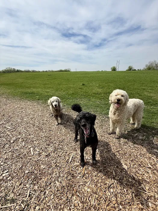 Middleton Dog Park 7