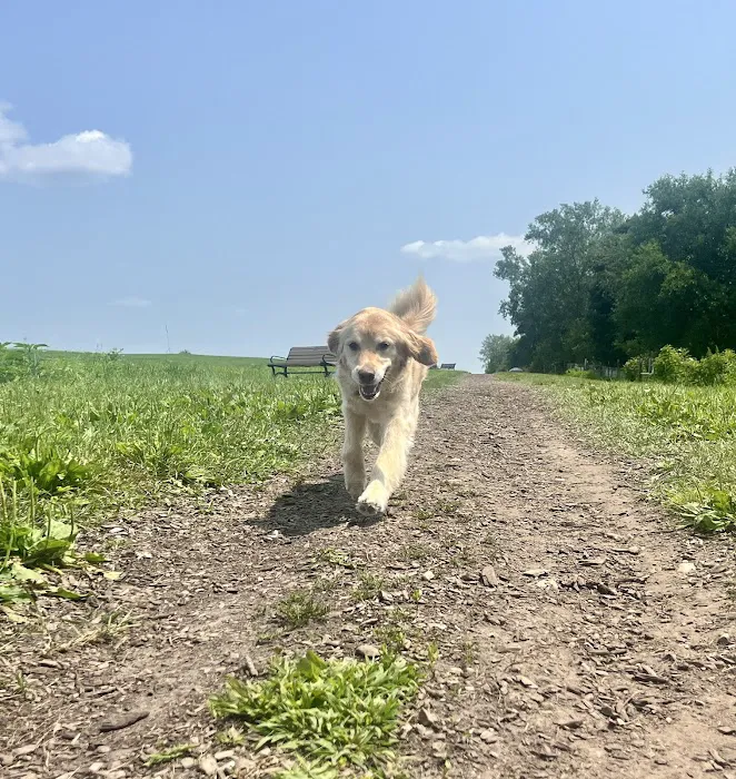 Middleton Dog Park 6