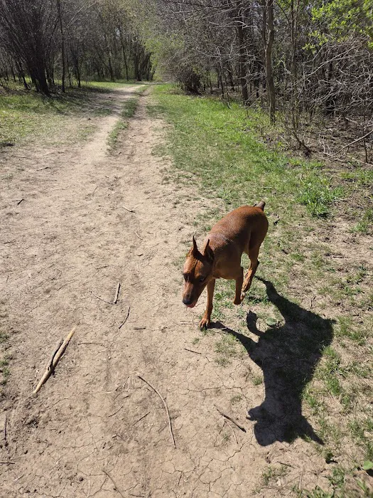 Middleton Dog Park 3