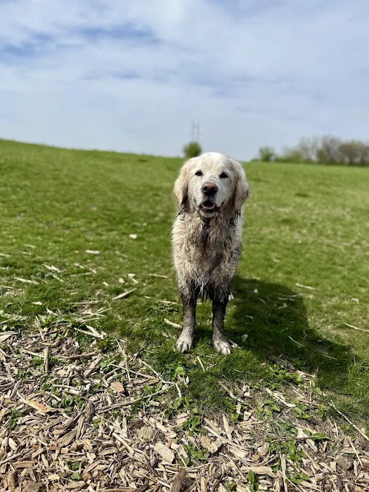 Middleton Dog Park 4