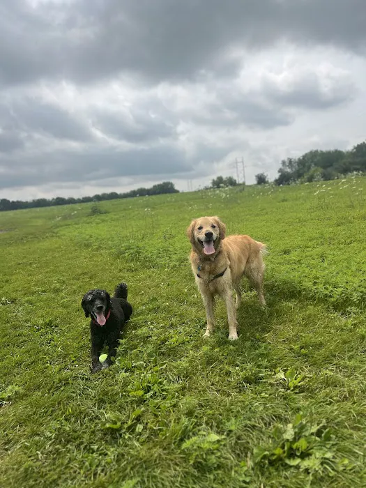 MRD Dog Exercise Area 1