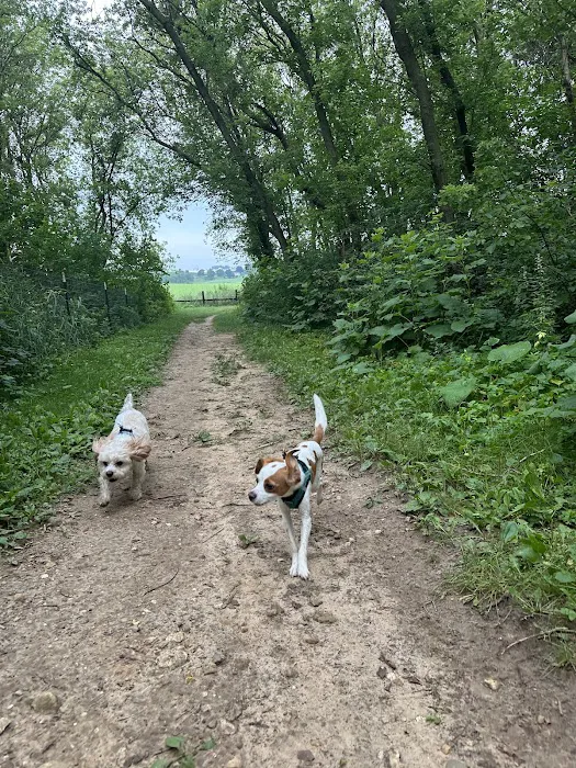 MRD Dog Exercise Area 7
