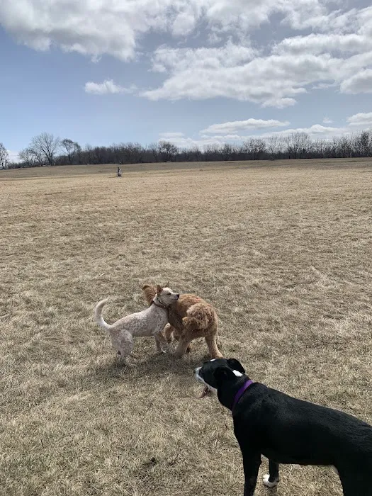 MRD Dog Exercise Area 5