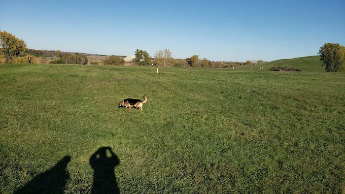 MRD Dog Exercise Area 8
