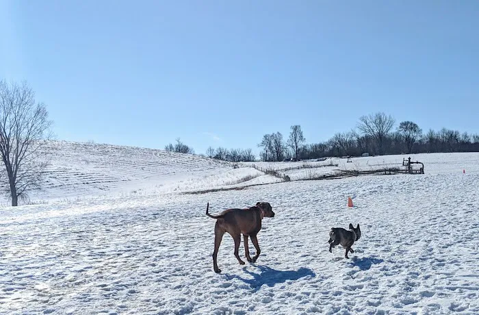 MRD Dog Exercise Area 3
