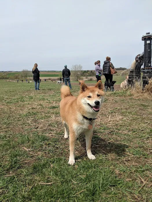 MRD Dog Exercise Area 9