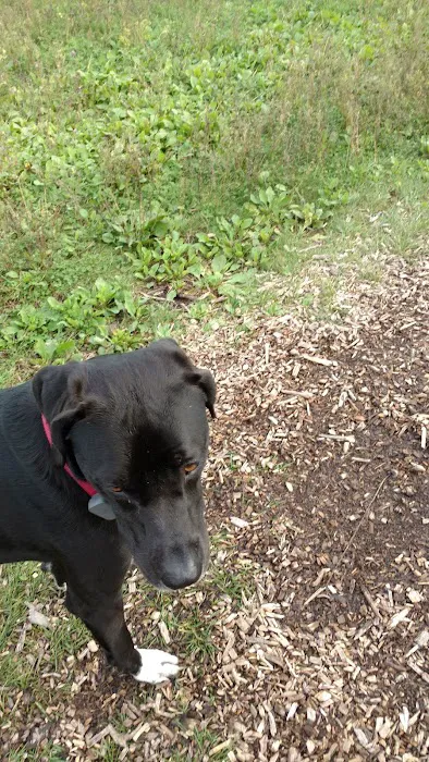 MRD Dog Exercise Area 10