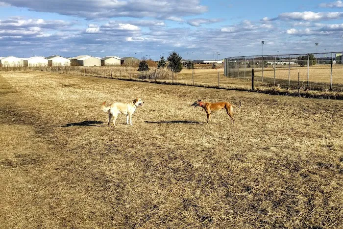 Penni Klein Dog Exercise Area 7