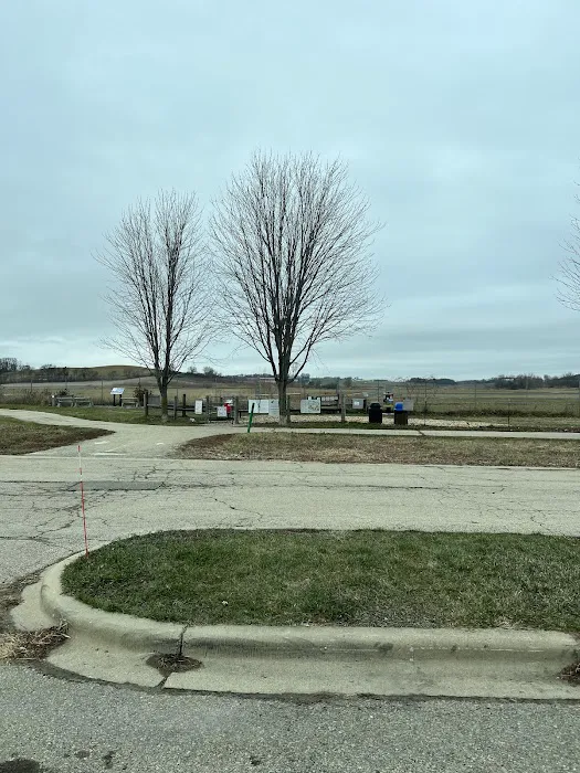 Penni Klein Dog Exercise Area 6