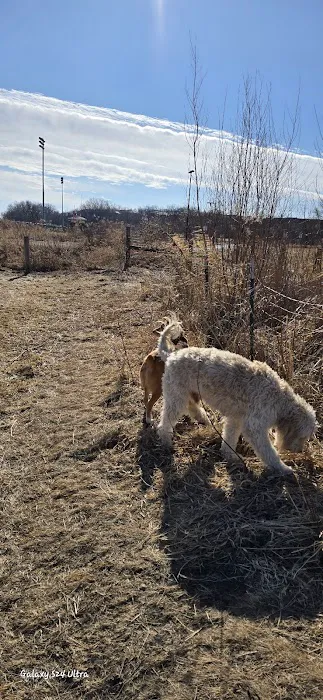 Penni Klein Dog Exercise Area 5