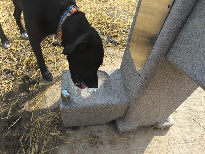 Marvin & Marie Schweers Dog Park 2
