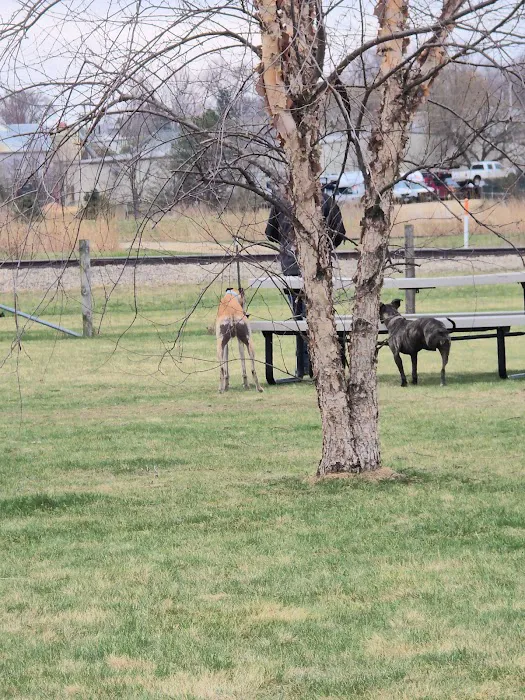 Marvin & Marie Schweers Dog Park 1