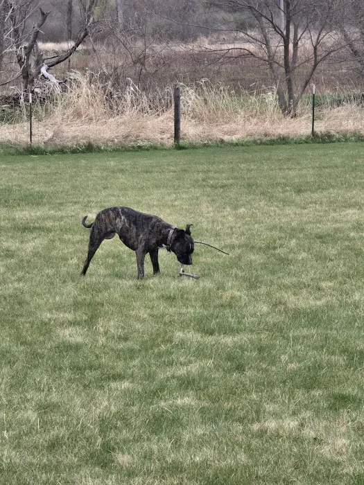 Marvin & Marie Schweers Dog Park 4