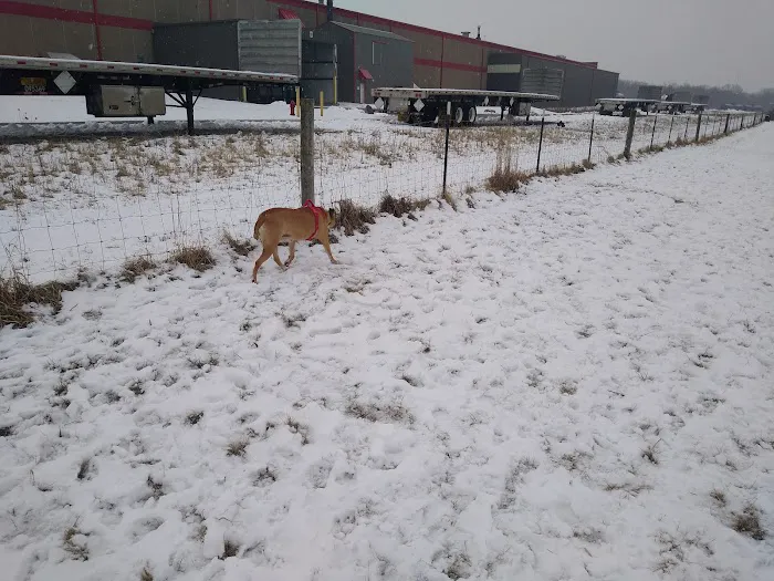 Marvin & Marie Schweers Dog Park 10