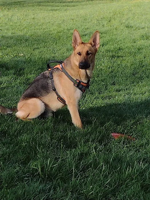 River Run Dog Park 4