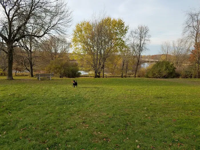 River Run Dog Park 7