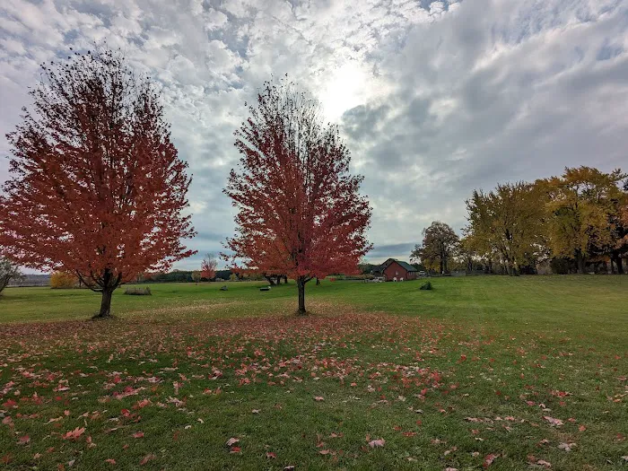 Ripon Dog Park 10