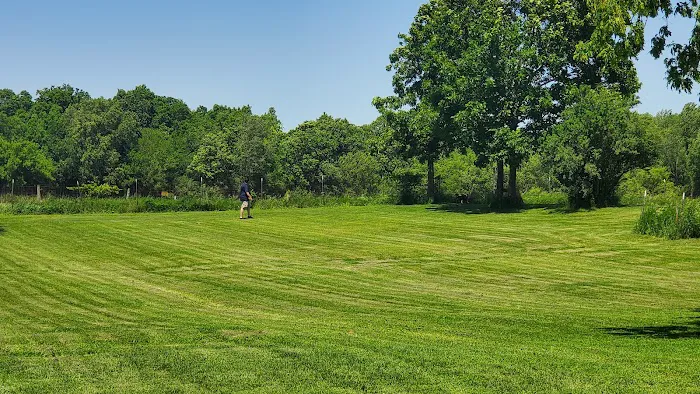 Ripon Dog Park 9