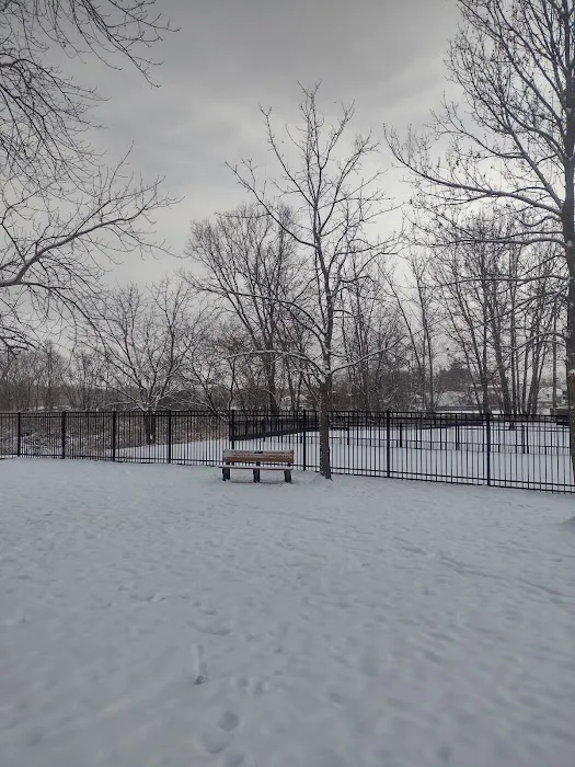 Green Lake Dog Park 1