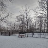 Green Lake Dog Park ico