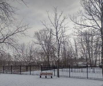 Green Lake Dog Park