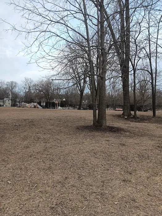 Green Lake Dog Park 6