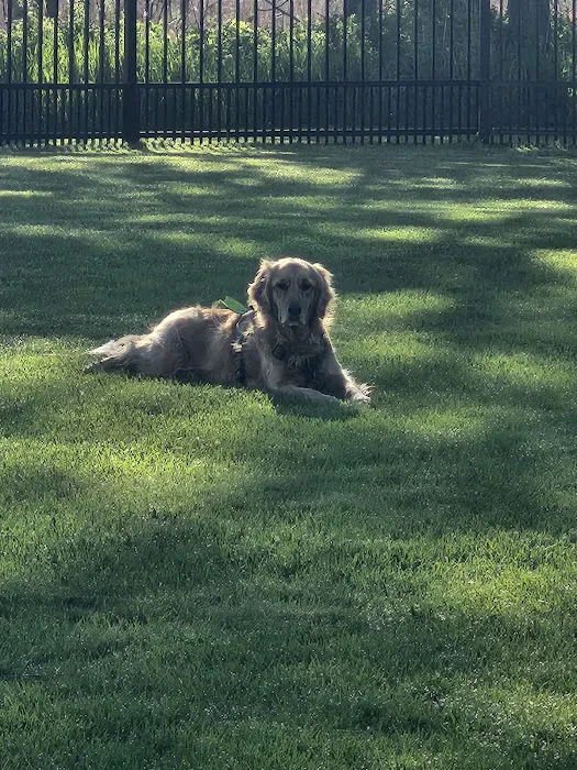 Green Lake Dog Park 7