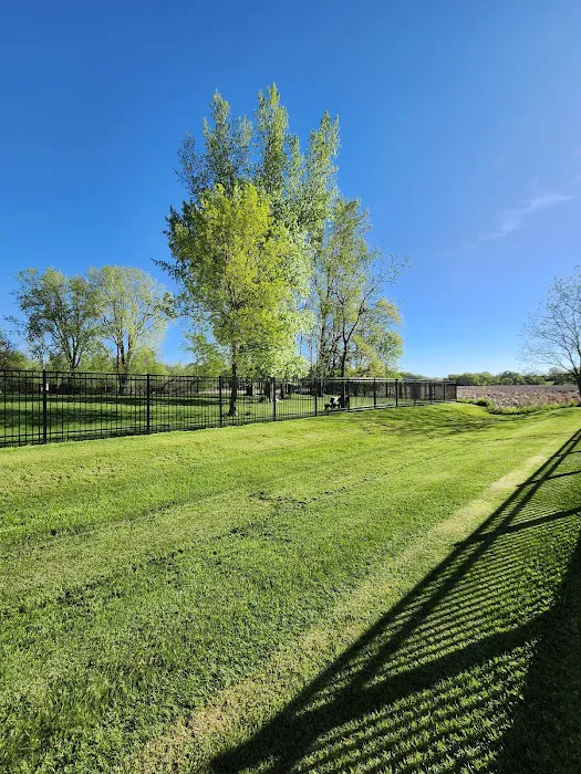 Green Lake Dog Park 8
