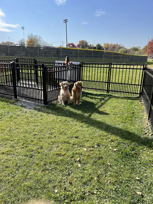 Green Lake Dog Park 10