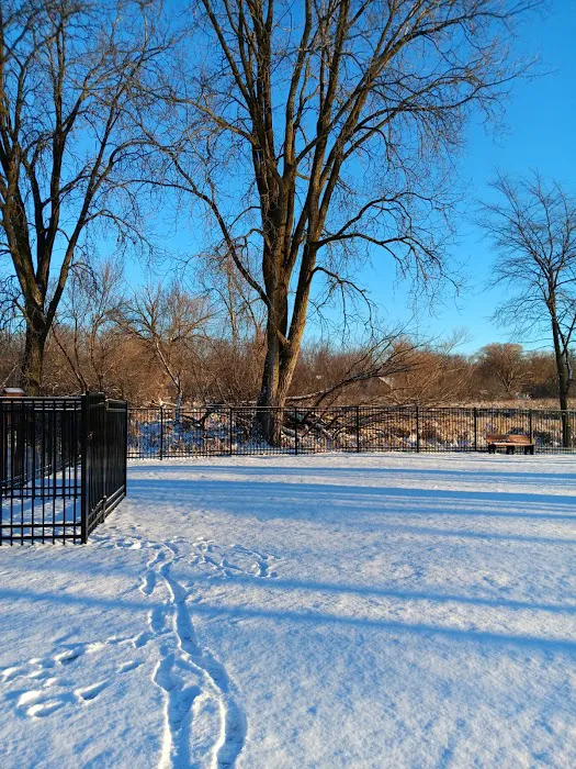 Green Lake Dog Park 9
