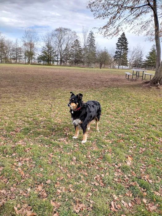 Best Friends Dog Park 2