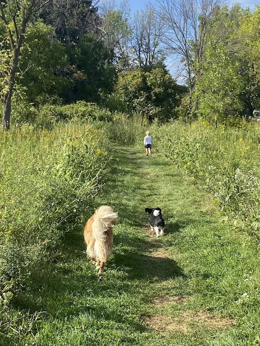 Best Friends Dog Park 7