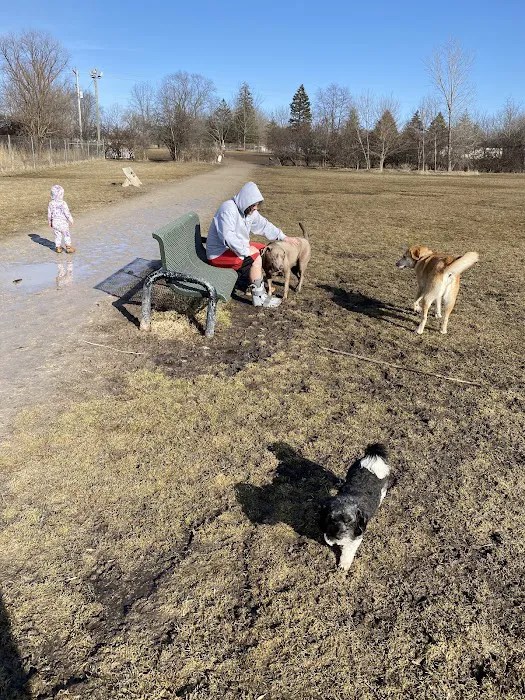 Best Friends Dog Park 5