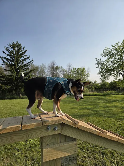 Best Friends Dog Park 4