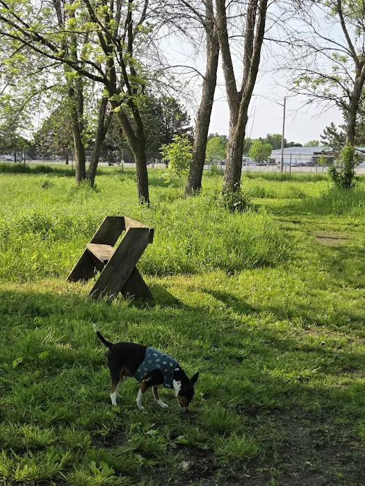 Best Friends Dog Park 6